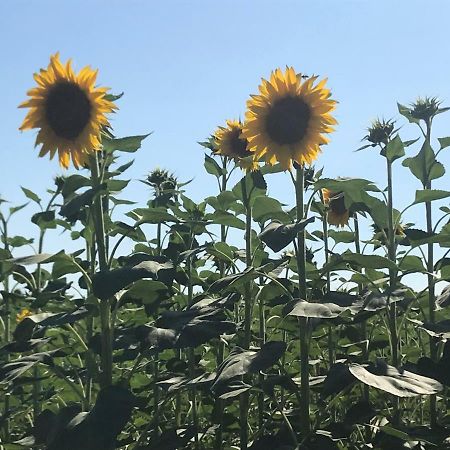 B&B Temenos Parma Eksteriør bilde