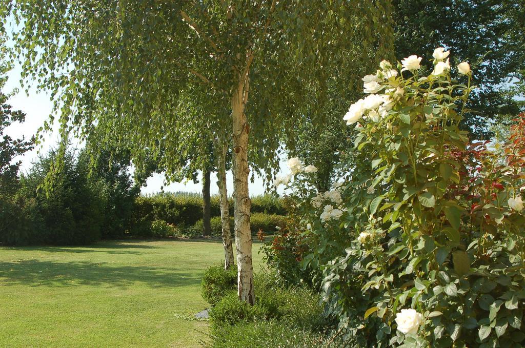 B&B Temenos Parma Eksteriør bilde