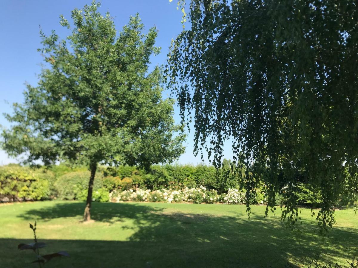 B&B Temenos Parma Eksteriør bilde